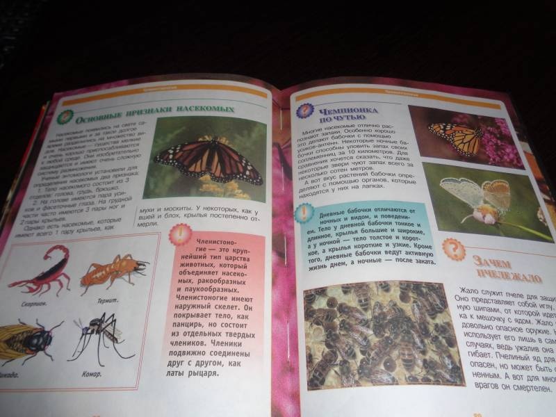 мой друг